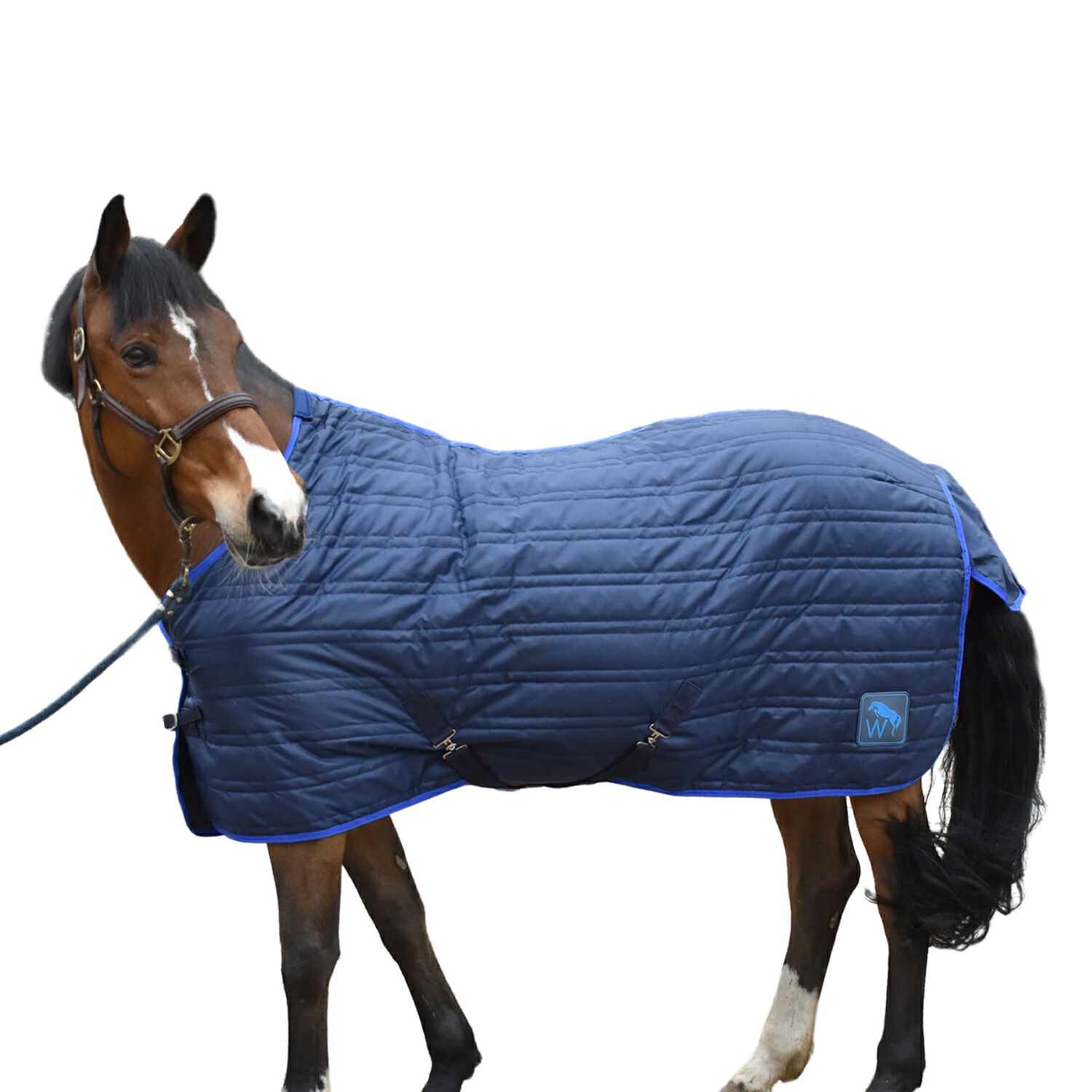 楽天市場】(シャイアズ) Shires 馬用 フレンチリンク ルーズリング 