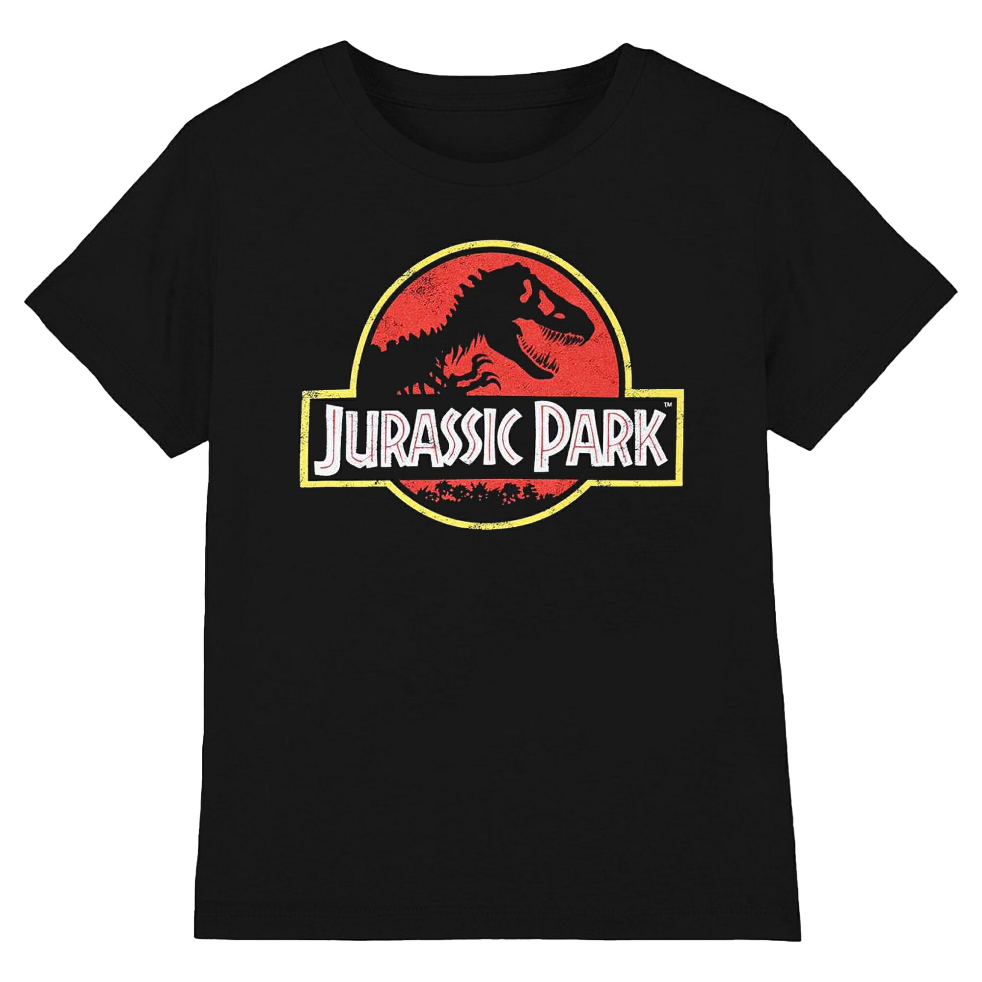  Tarrell　博物館　Tシャツ　ヴィンテージ　恐竜　半袖　ブラック 古着 80s USA製 Tyrannosaurus 「Tyrant Lizard」 恐竜 骨