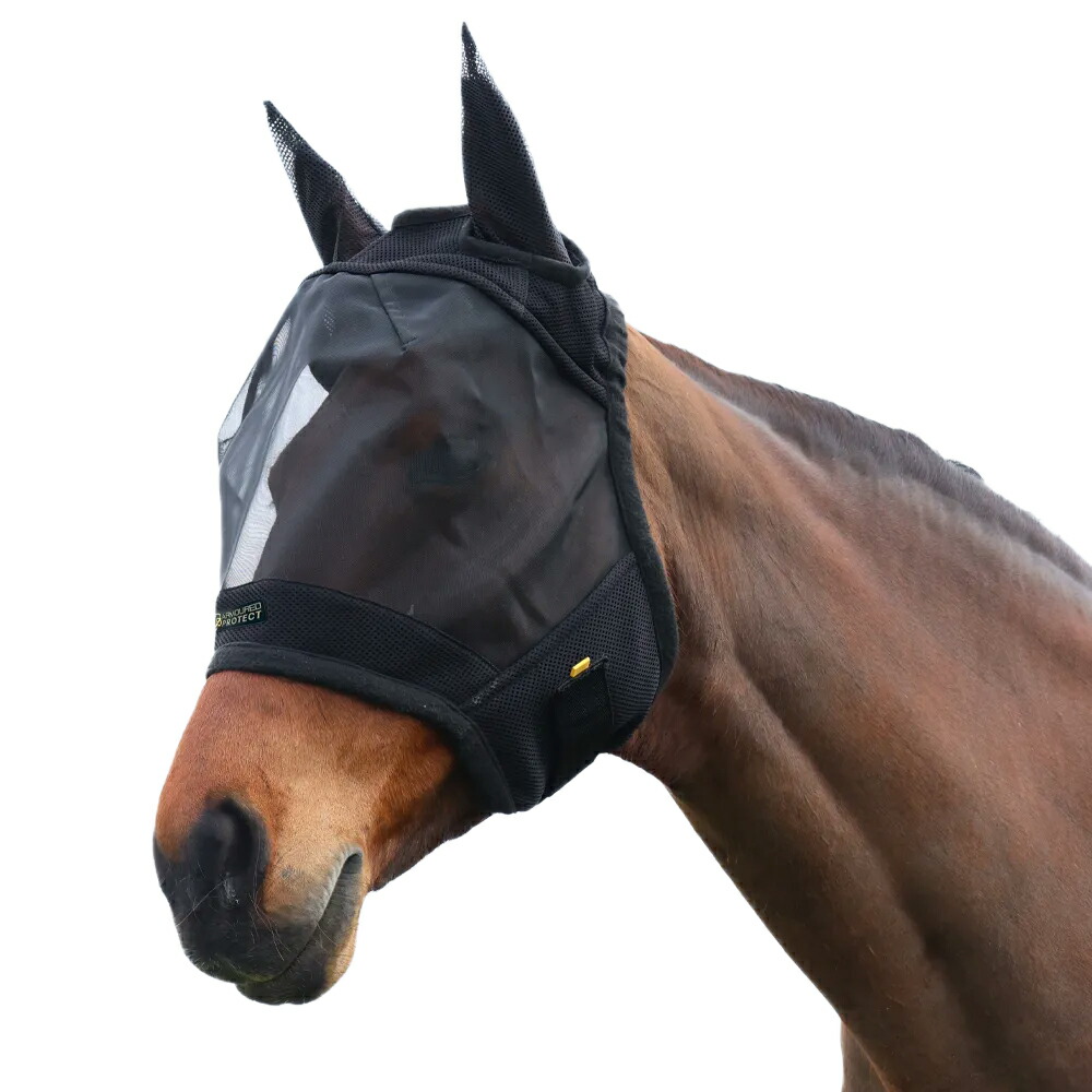 楽天市場】【7/1 新入荷】 【bucas/ビューカス 】バズオフゼブラ