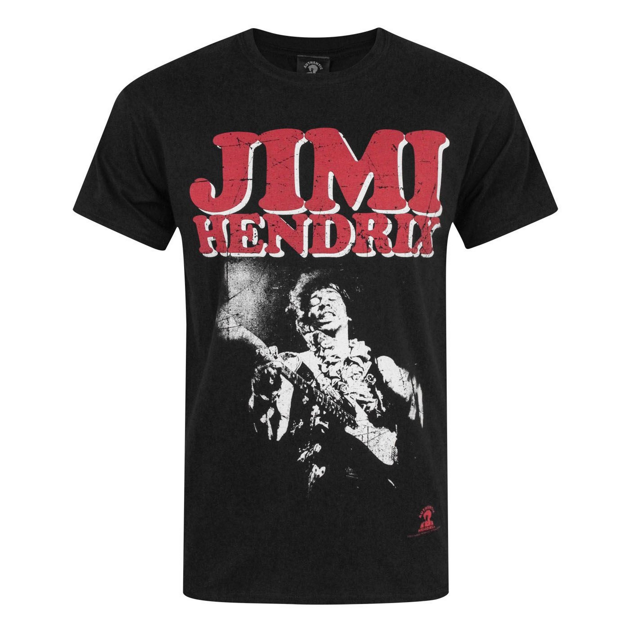 Jimi Hendrix ジミヘンドリックス Tシャツ 90s　Lサイズ Jimi Hendrix ジミヘンドリックス Tシャツ 90s Lサイズ 90s Jimi