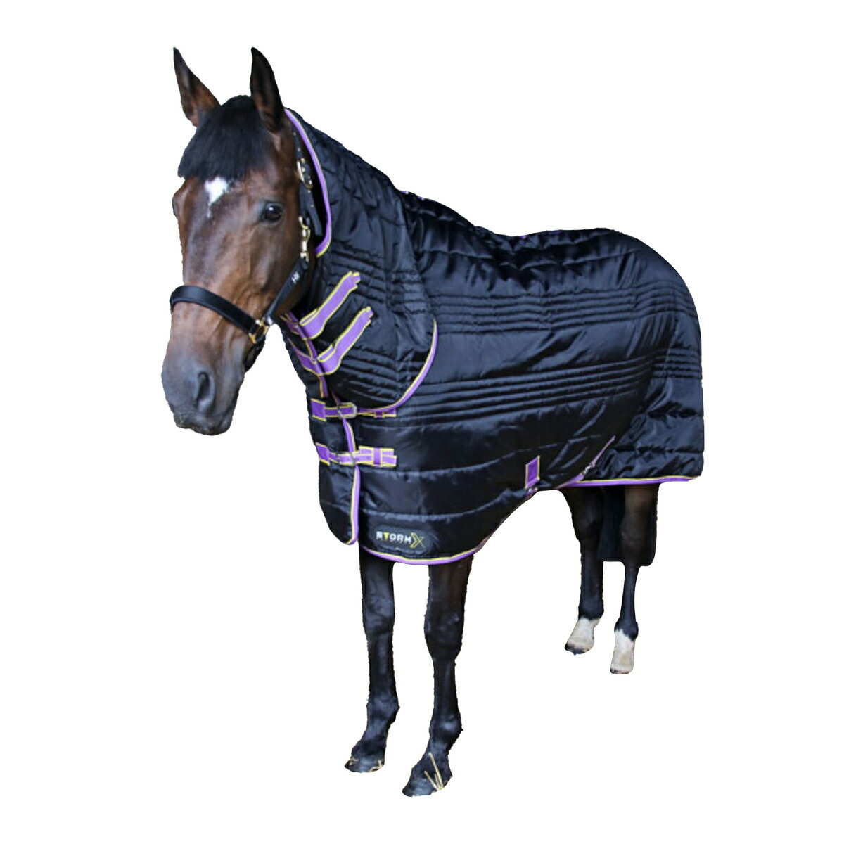 (ハイ) Hy 馬用 StormX オリジナル 200 コンビ ステーブルラグ 乗馬 馬着 ホースライディング 【海外通販】  Pertemba Japan