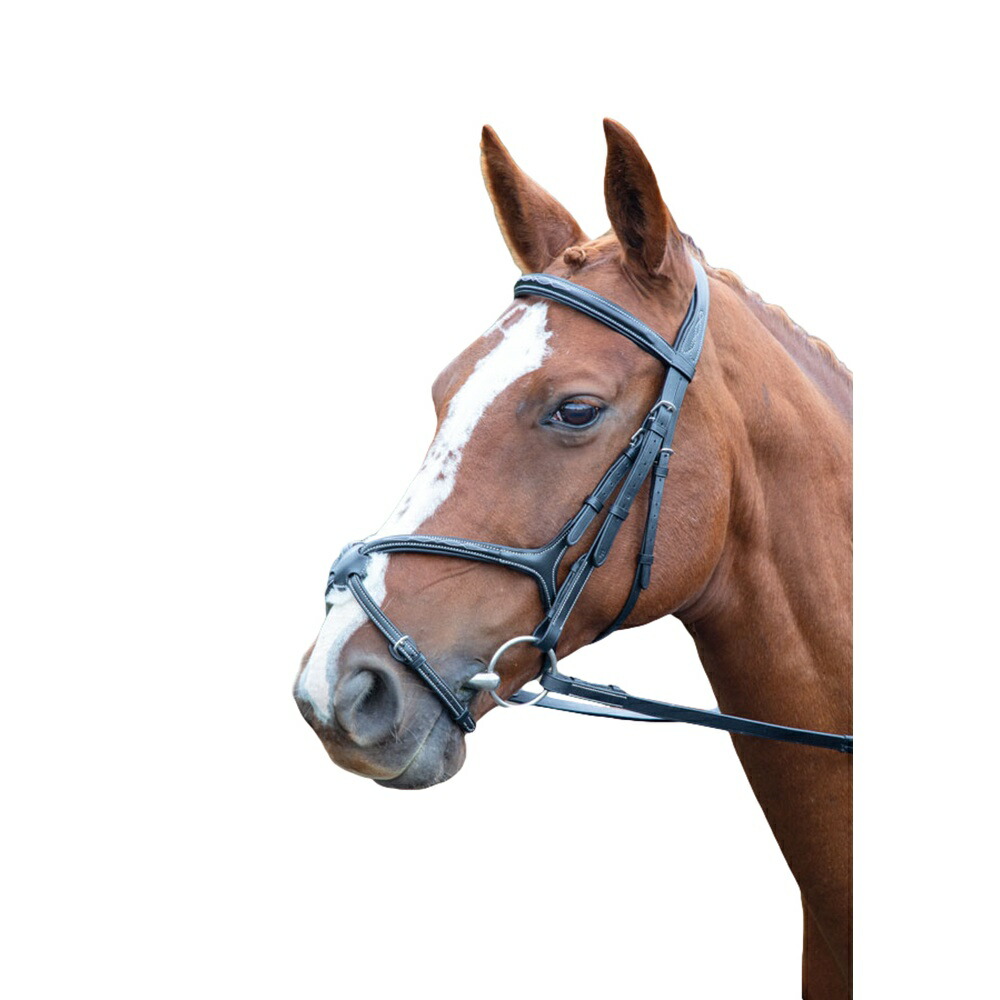 一部予約 ソールズベリー Salisbury 馬用 Brackley レザー ブライドル 乗馬 馬具 頭絡 ホースライディング