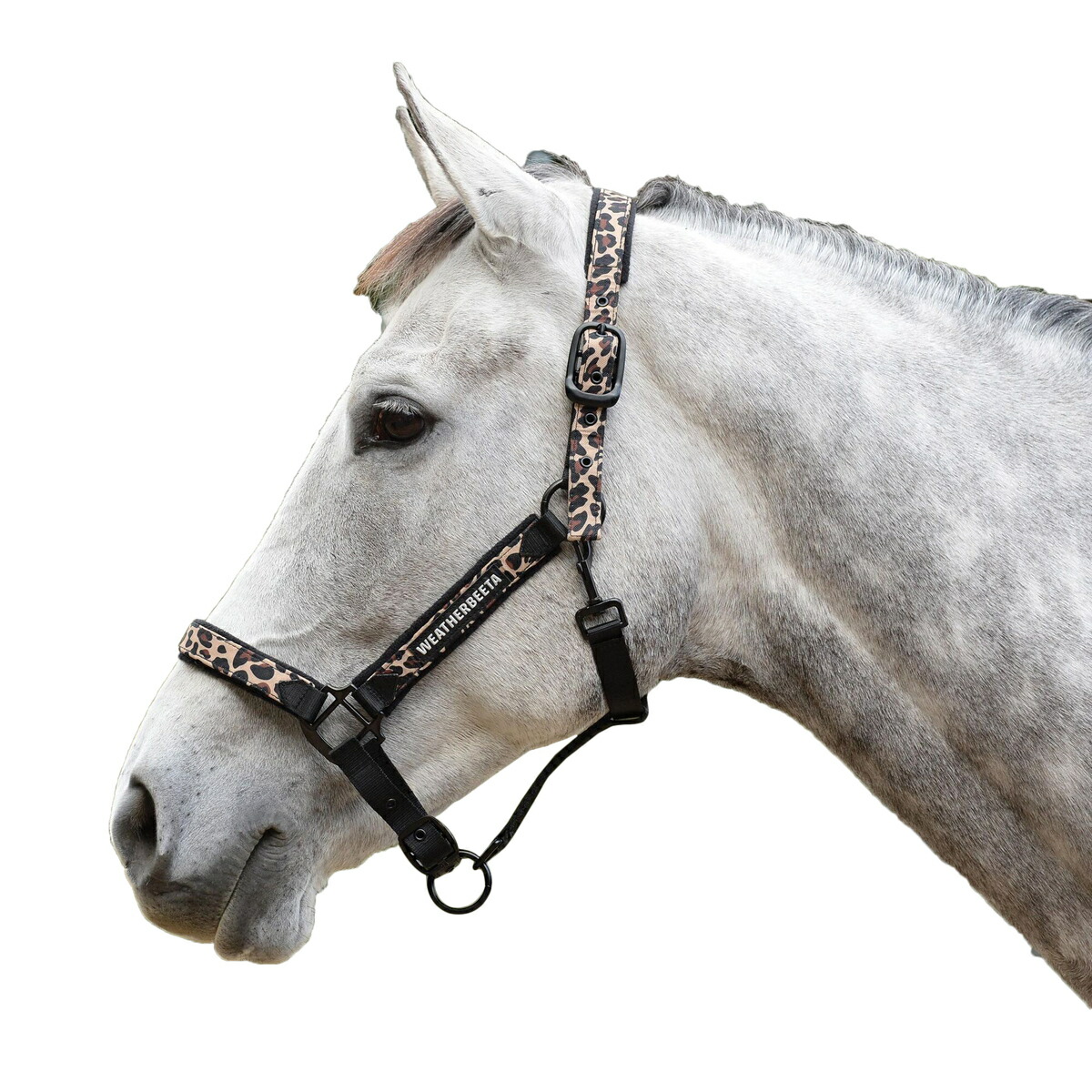 (アビモア) Aviemore 馬用 プレーン レザー ブライドル 乗馬 馬具 頭絡 ホースライディング 【海外通販】 Pertemba Japan (オーブリオン) Aubrion レディース Mistral ジレ ベスト 乗馬 ウェア ホースライディング