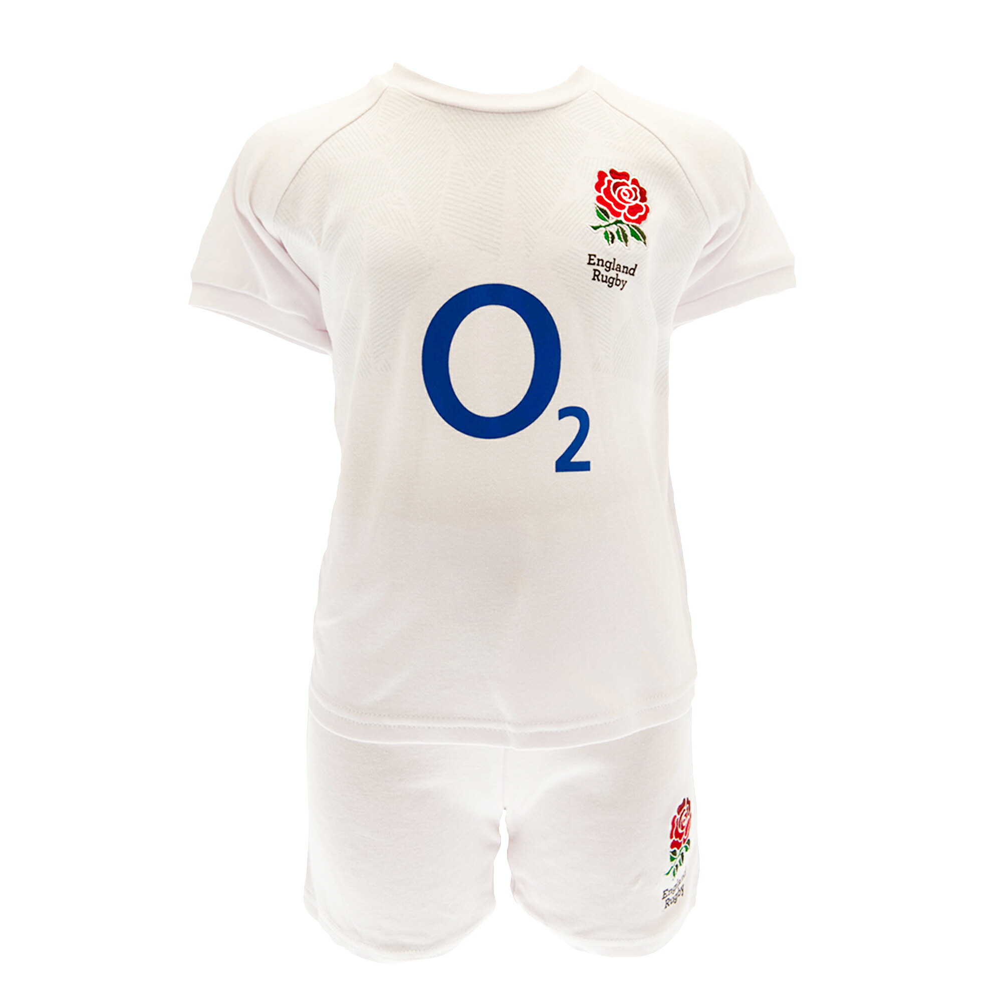 楽天市場】ラグビー イングランド代表 キッズ オルタネイト アウェイ