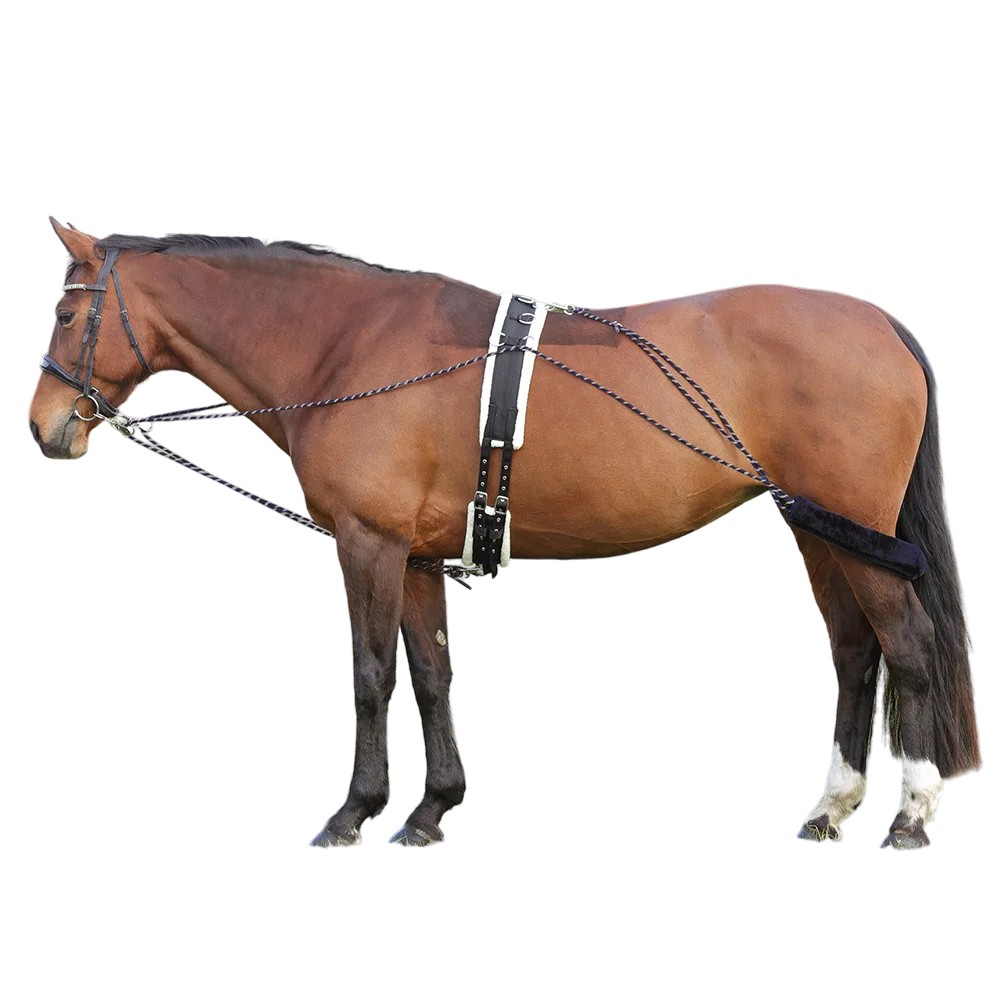 楽天市場】馬（鞍付き）II Horse with Saddle II オストハイマー社