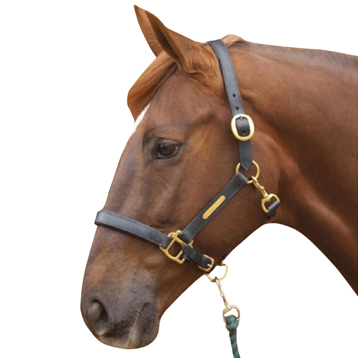超特価 Pertemba エクイフレクター Equi-Flector ブライドルバンド 乗馬 馬具アクセサリー 反射 ホースライディング 2個組  ER124