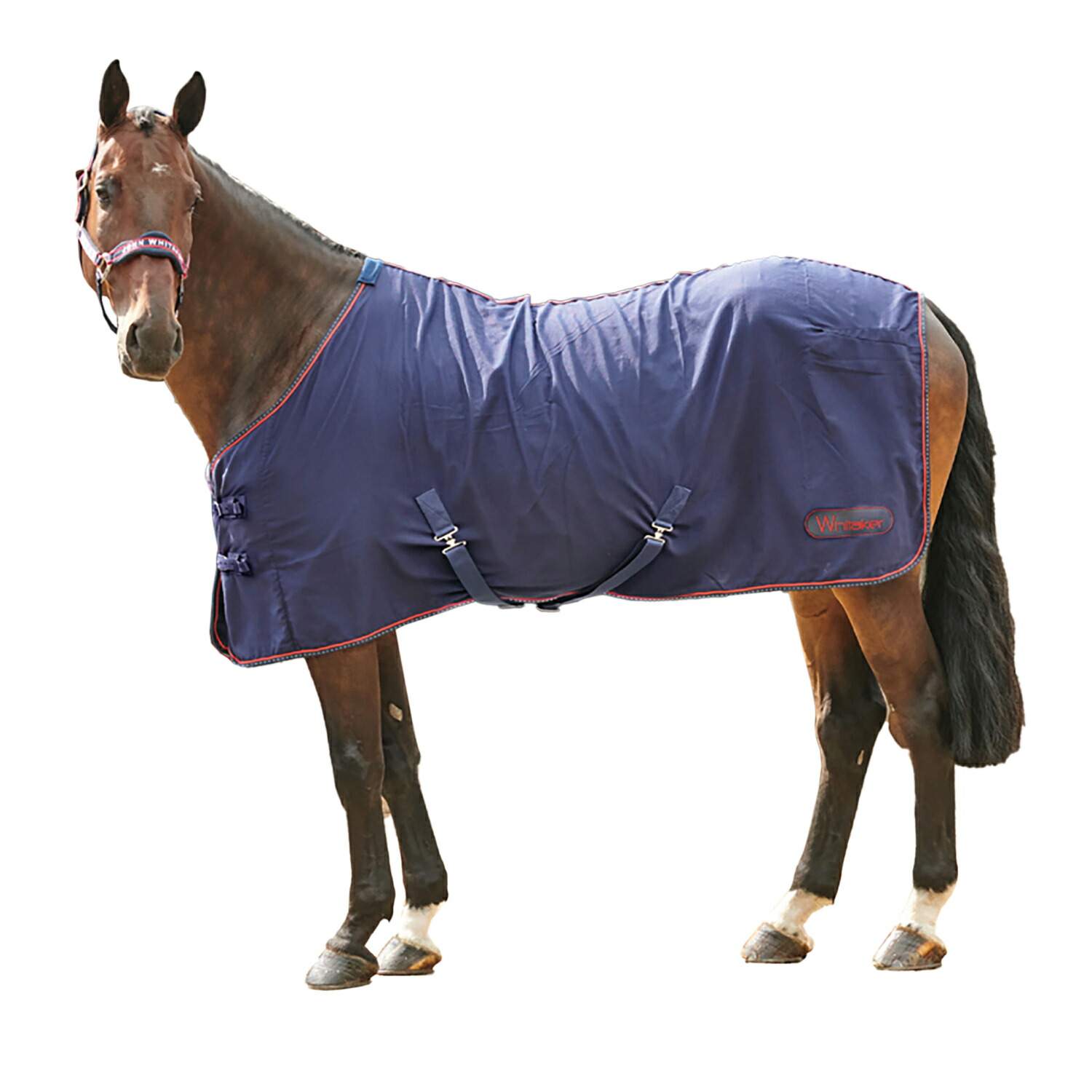 楽天市場】(シャイアズ) Shires 馬用 スイートアイロン ウォーター 