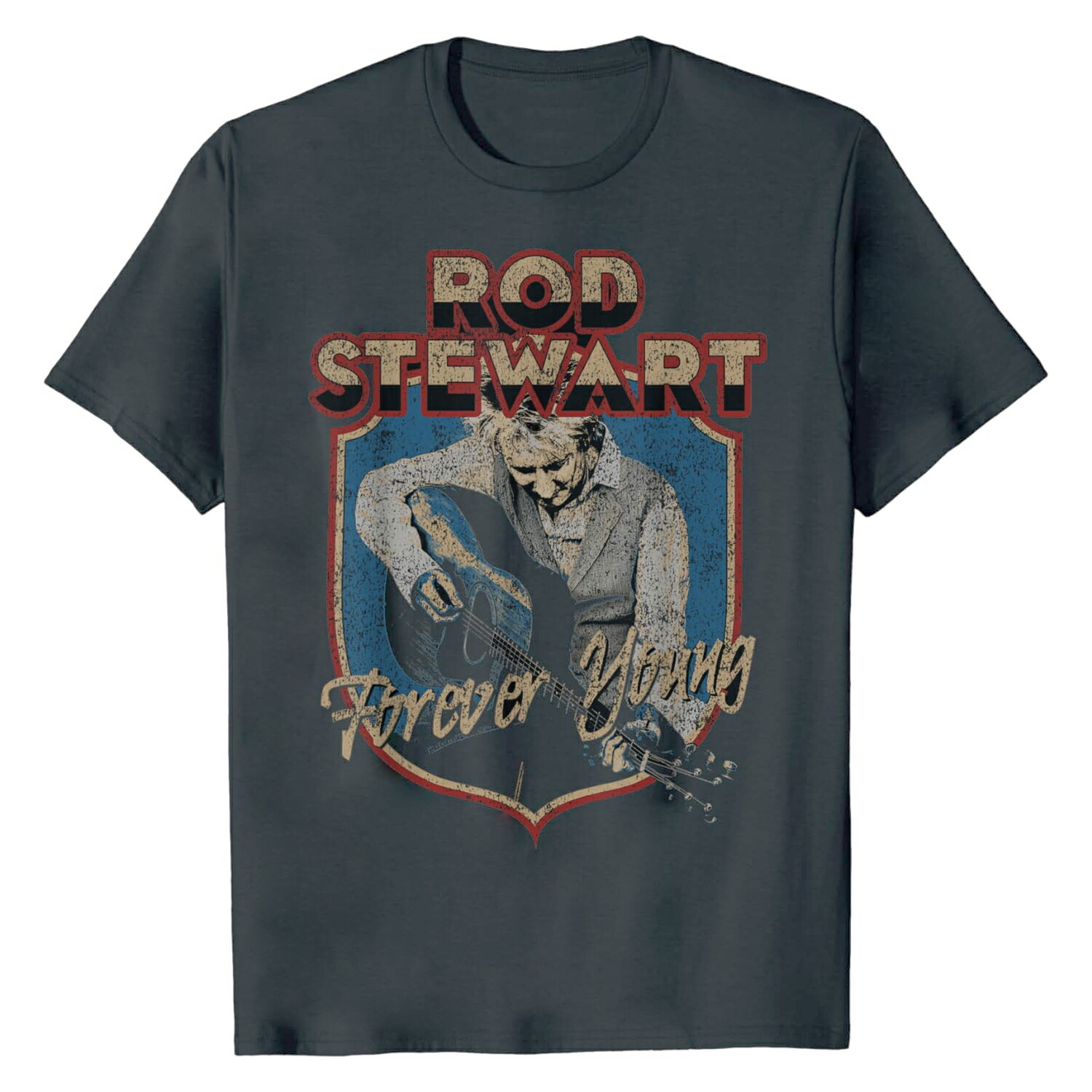 楽天市場】ROD STEWART LOST IN AMERICA Vintage T-shirt