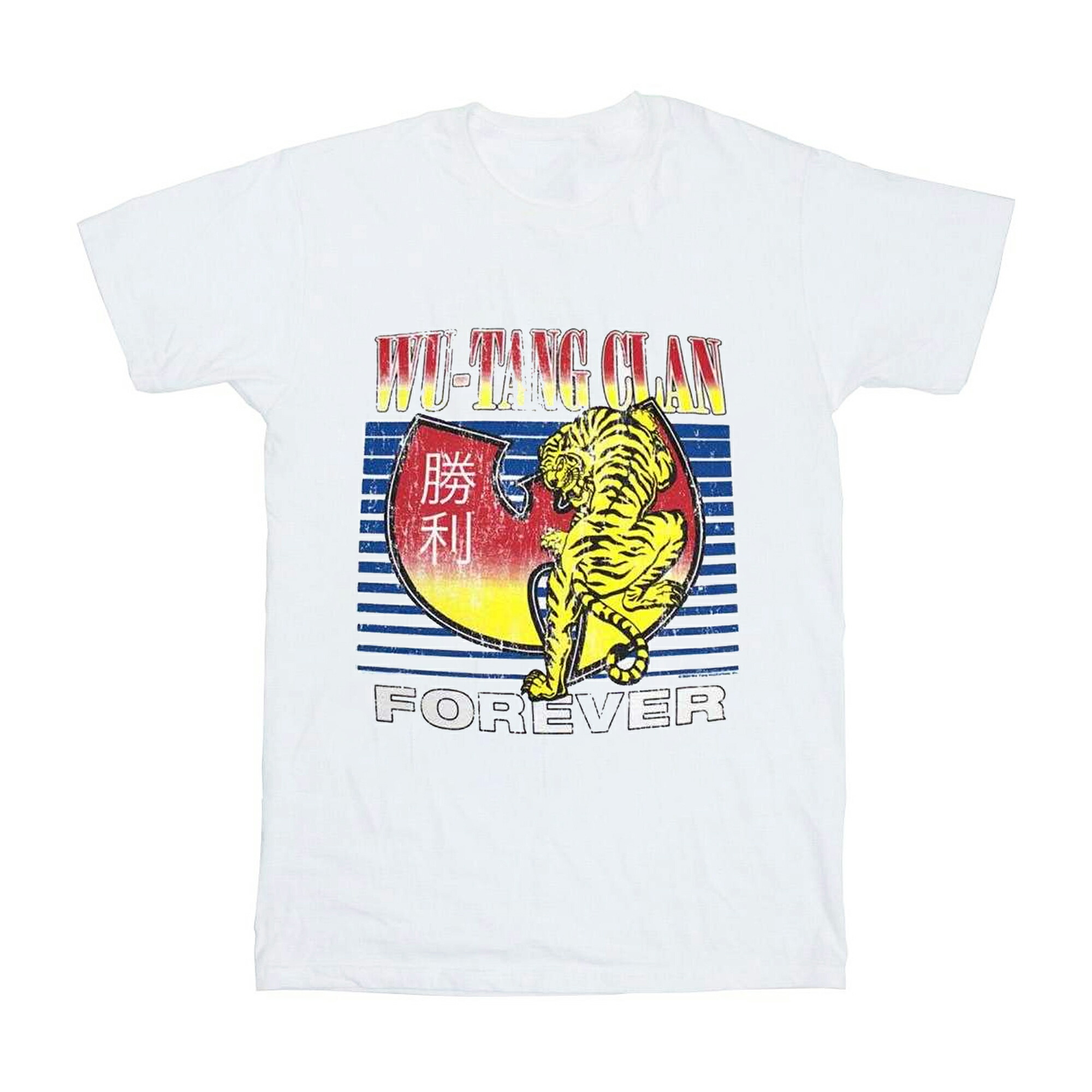 S ウータンクラン WU-TANG CLAN Tシャツ ラップT HIPHOP WU-TANG CLAN
