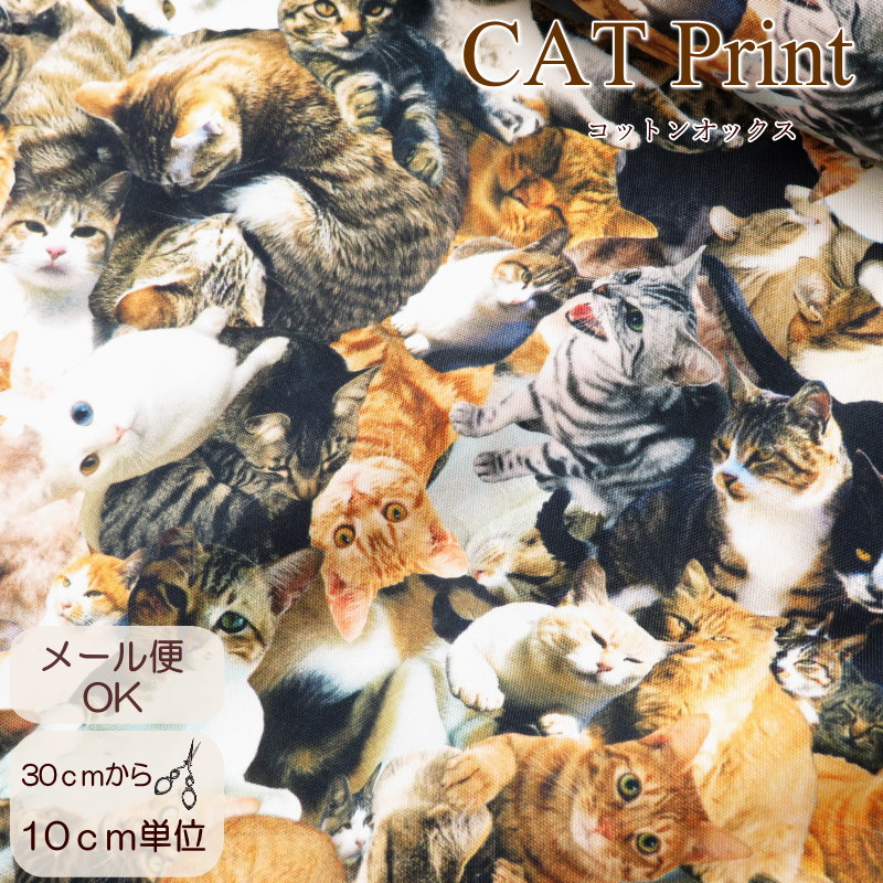 楽天市場】デジタルオックスプリント CATS 50cm単位 | 切売り 切り売り
