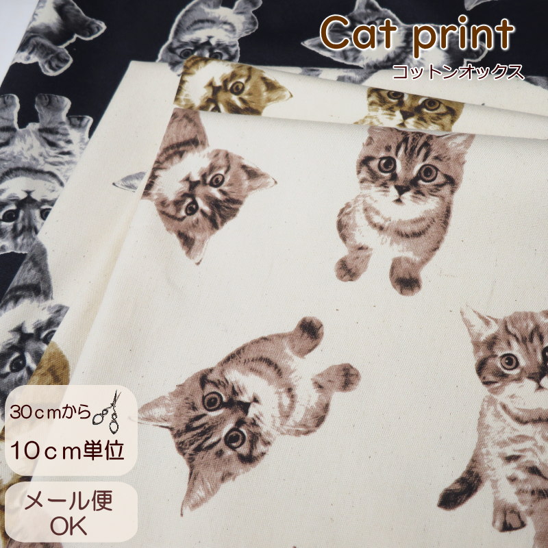 楽天市場】生地 猫柄 108cm巾 コットンオックス≪キュート 子猫柄