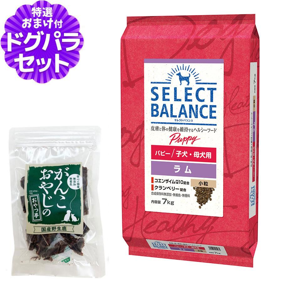 セレクトバランス パピー ラム 小粒 7kg＋国産鹿肉ジャーキー20g｜ペットアルファー店