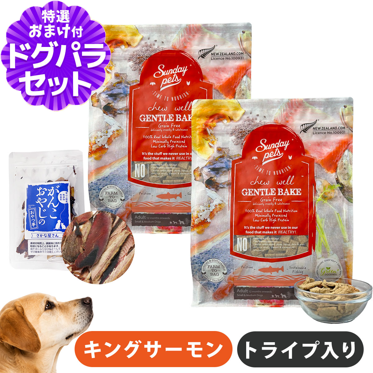 サンデーペッツ ドッグフード ジェントルベイクグレインフリー キングサーモンウィズトライプ 1.3kg×2袋 +お試し国産お魚厚削り 15g
