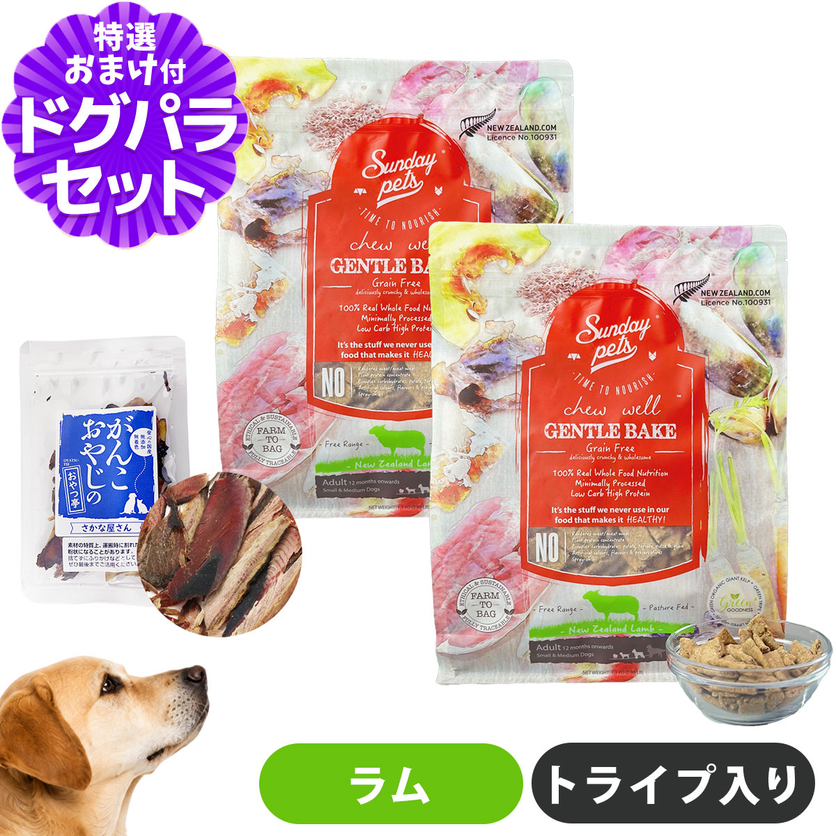 サンデーペッツ ドッグフード ジェントルベイクグレインフリー ラムウィズトライプ 1.3kg×2袋 +お試し国産お魚厚削り 15g