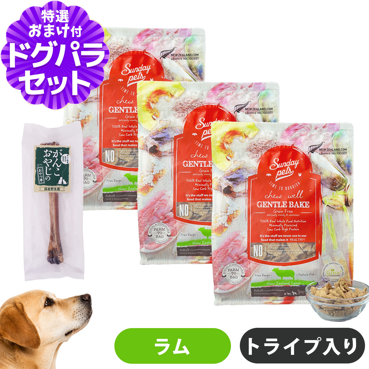 サンデーペッツ ドッグフード ジェントルベイクグレインフリー ラムウィズトライプ 1.3kg×3袋 +国産鹿デンタルボーン 1本入り