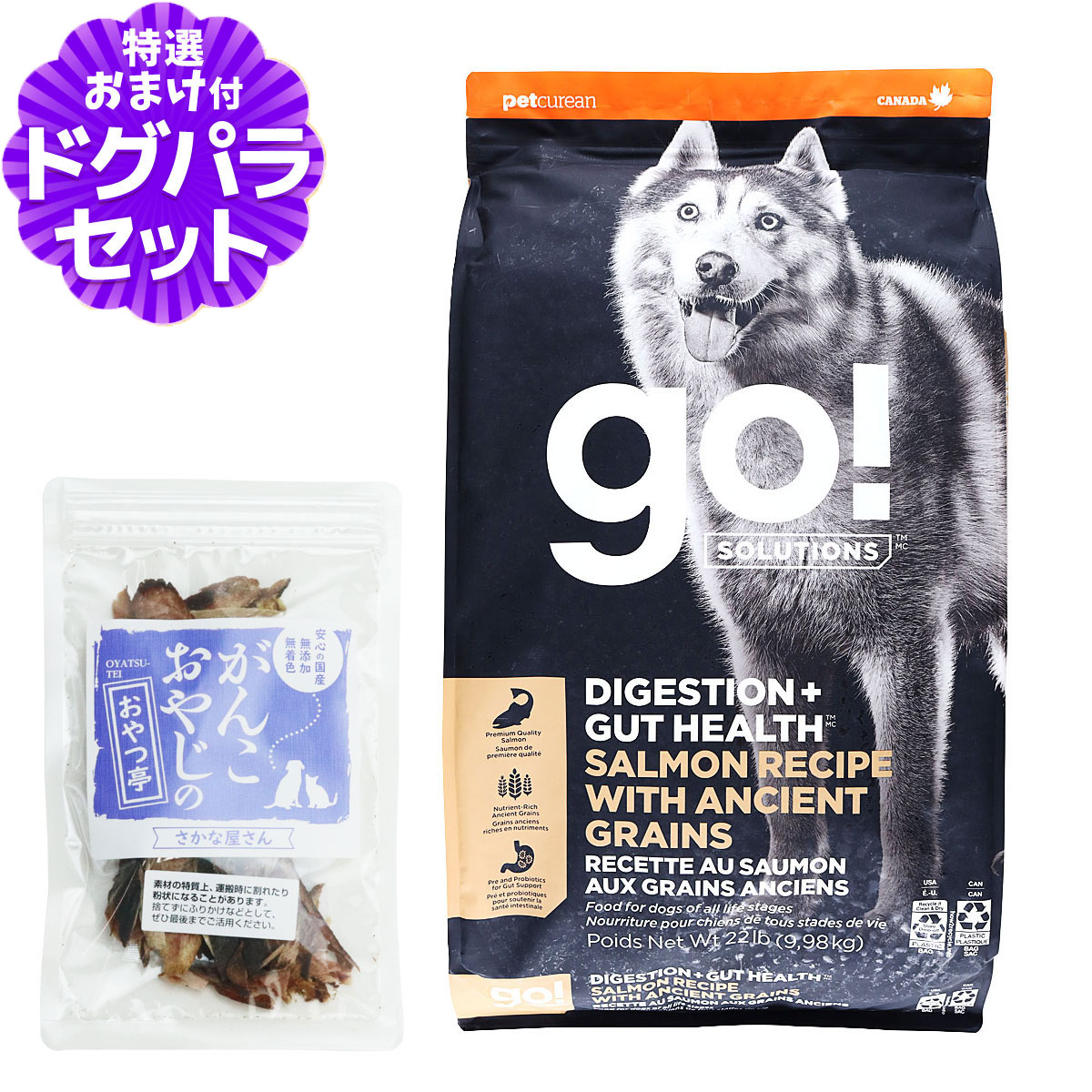 GO!ゴー 消化+腸の健康ケア 古代穀物 サーモン 9.98kg＋国産無添加さかなのおやつ 犬 ドッグ フード ドック スーパーフード 食物繊維 オメガ脂肪酸 消化器 お腹 酵母 乳酸菌 子犬 幼犬 パピー 成犬 アダルト 高齢犬 シニア
