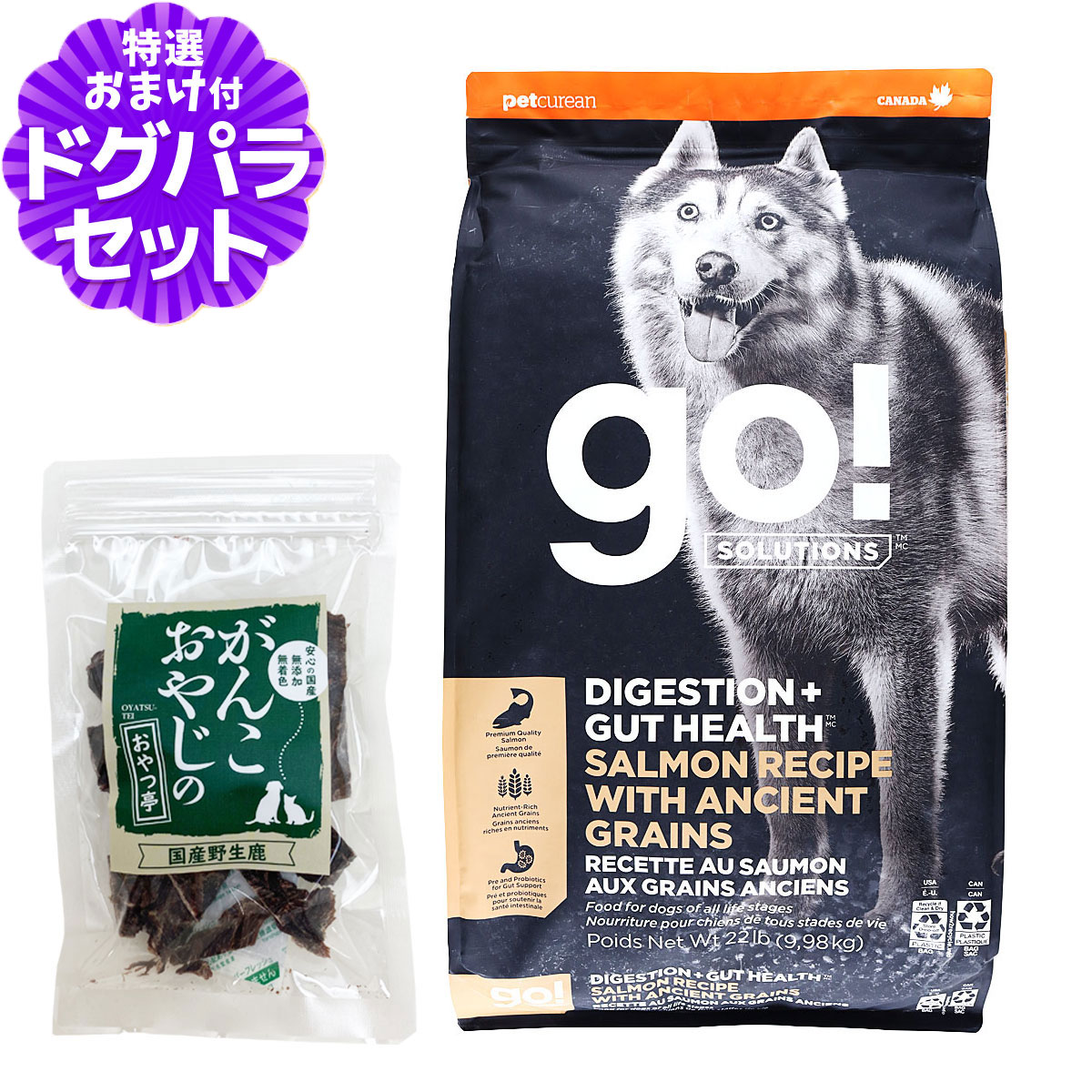GO!ゴー 消化+腸の健康ケア 古代穀物 サーモン 9.98kg+国産鹿肉ジャーキー20g 犬 ドッグ フード ドック スーパーフード 食物繊維 オメガ脂肪酸 消化器 お腹 酵母 乳酸菌 子犬 幼犬 パピー 成犬 アダルト 高齢犬 シニア|ペットアルファー店