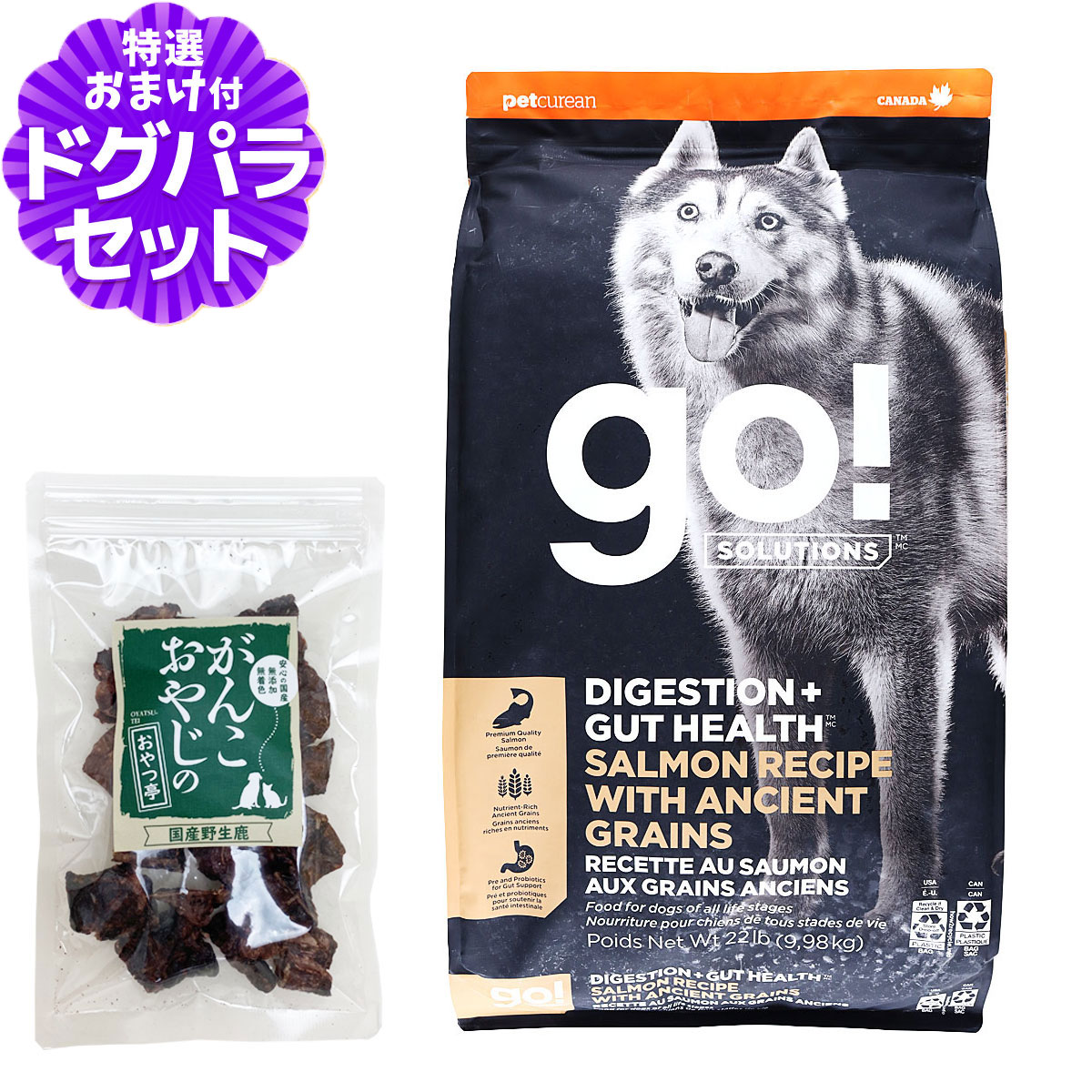 GO!ゴー 消化+腸の健康ケア 古代穀物 サーモン 9.98kg+国産鹿ラング15g 犬 ドッグ フード ドック スーパーフード 食物繊維 オメガ脂肪酸 消化器 お腹 酵母 乳酸菌 子犬 幼犬 パピー 成犬 アダルト 高齢犬 シニア|ペットアルファー店