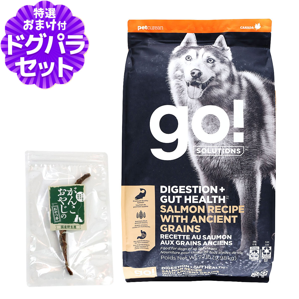 GO!ゴー 消化+腸の健康ケア 古代穀物 サーモン 9.98kg＋国産鹿のスペアリブ ミドルカット 1本入り 犬 ドッグ フード ドック スーパーフード 食物繊維 オメガ脂肪酸 消化器 お腹 酵母 乳酸菌 子犬 幼犬 パピー 成犬 アダルト 高齢犬 シニア