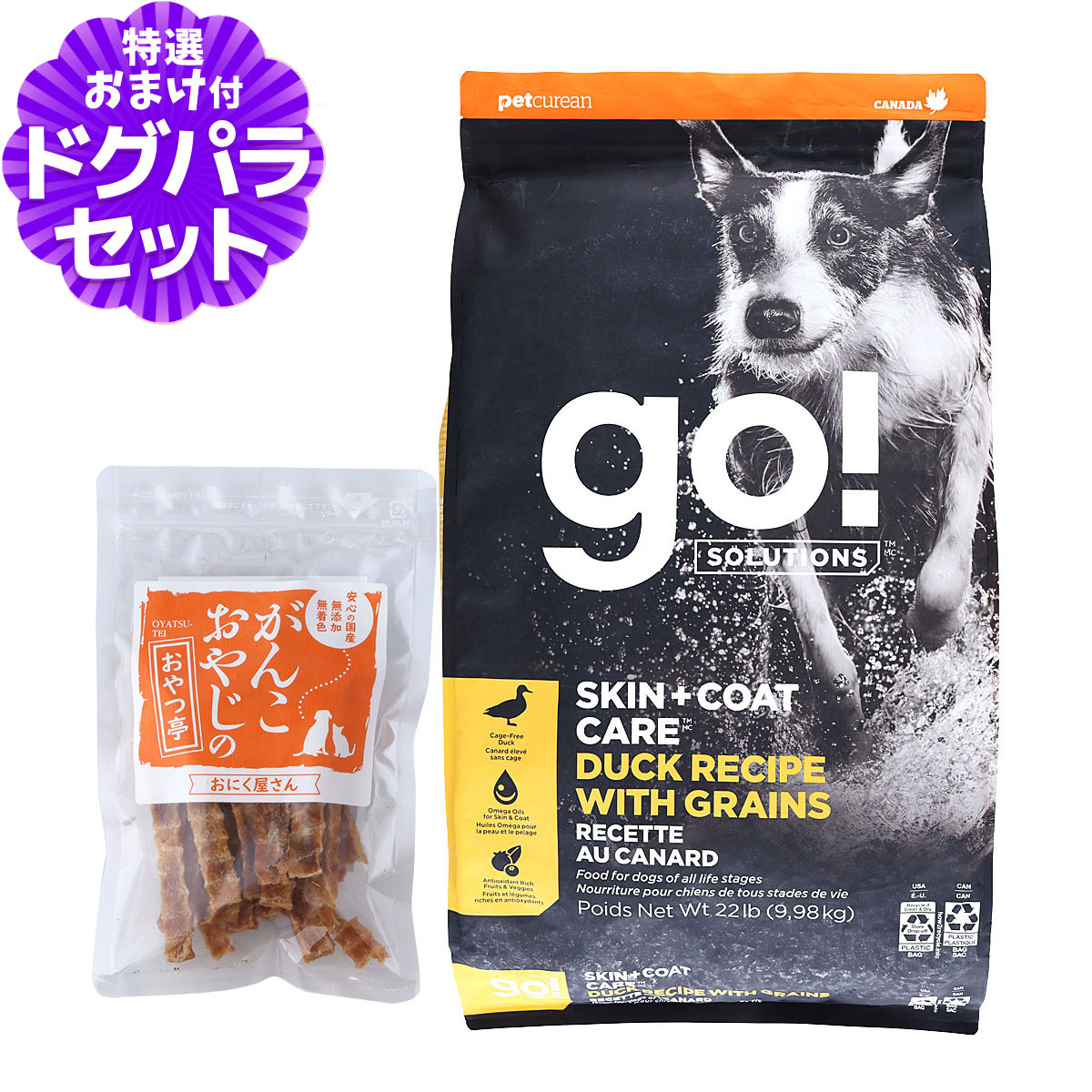 GO! ゴー ソリューションズ 皮膚+被毛ケア 9.98kg+国産たじま鶏ジャーキー40g 犬 ドッグフード|ペットアルファー店