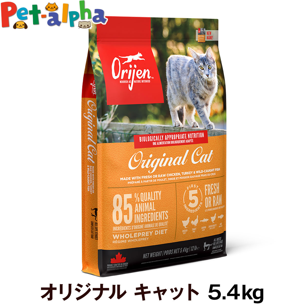いつものごはんに塗り付けるを！猫お父ちゃんの情の籠もったボンネット、トッピング食のご引き合わせる。