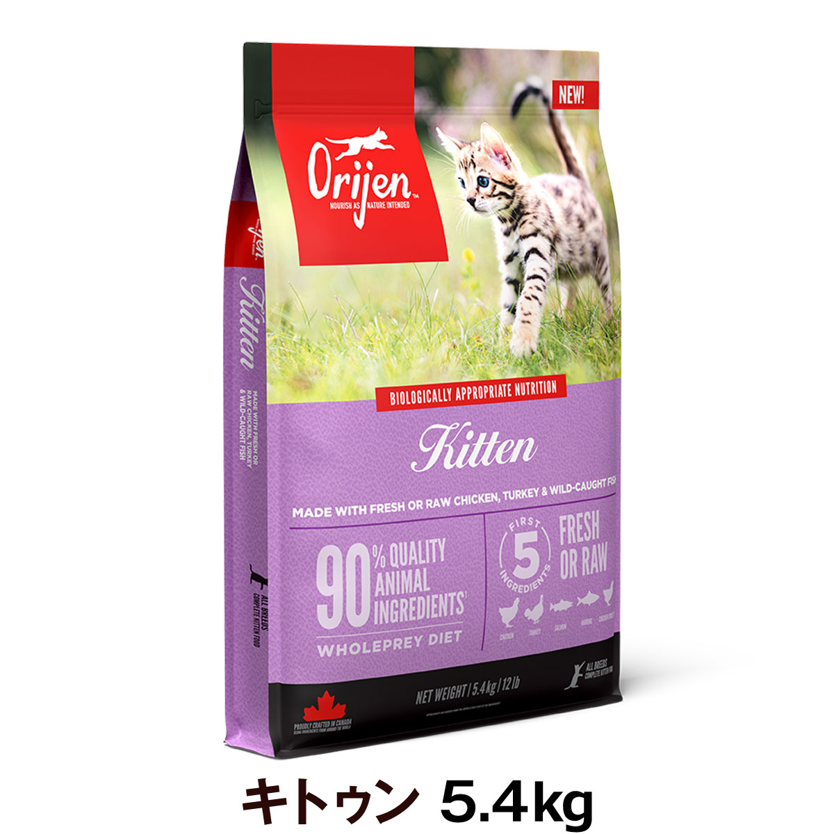 いつものごはんに塗り付けるを！猫お父ちゃんの情の籠もったボンネット、トッピング食のご引き合わせる。