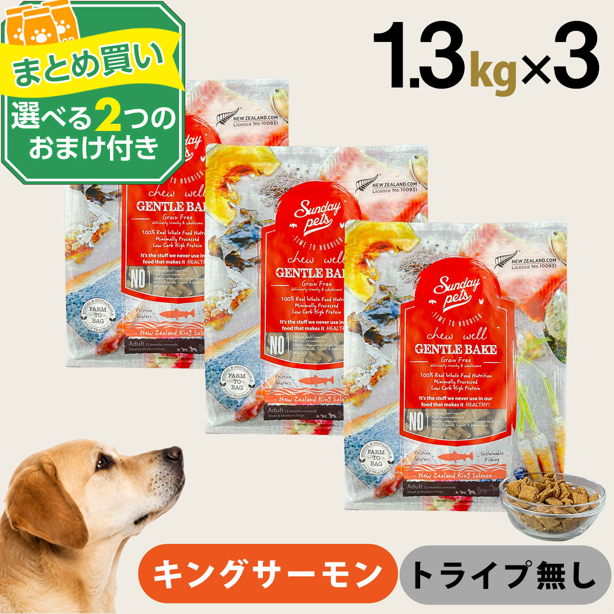 サンデーペッツ ドッグフード ジェントルベイク グレインフリー キングサーモン 1.3kg&times;3個セット＋選べるおまけ付き 犬 ドックフード 成犬 アダルト 12ヶ月以降 穀物不使用 魚｜ペットアルファー店