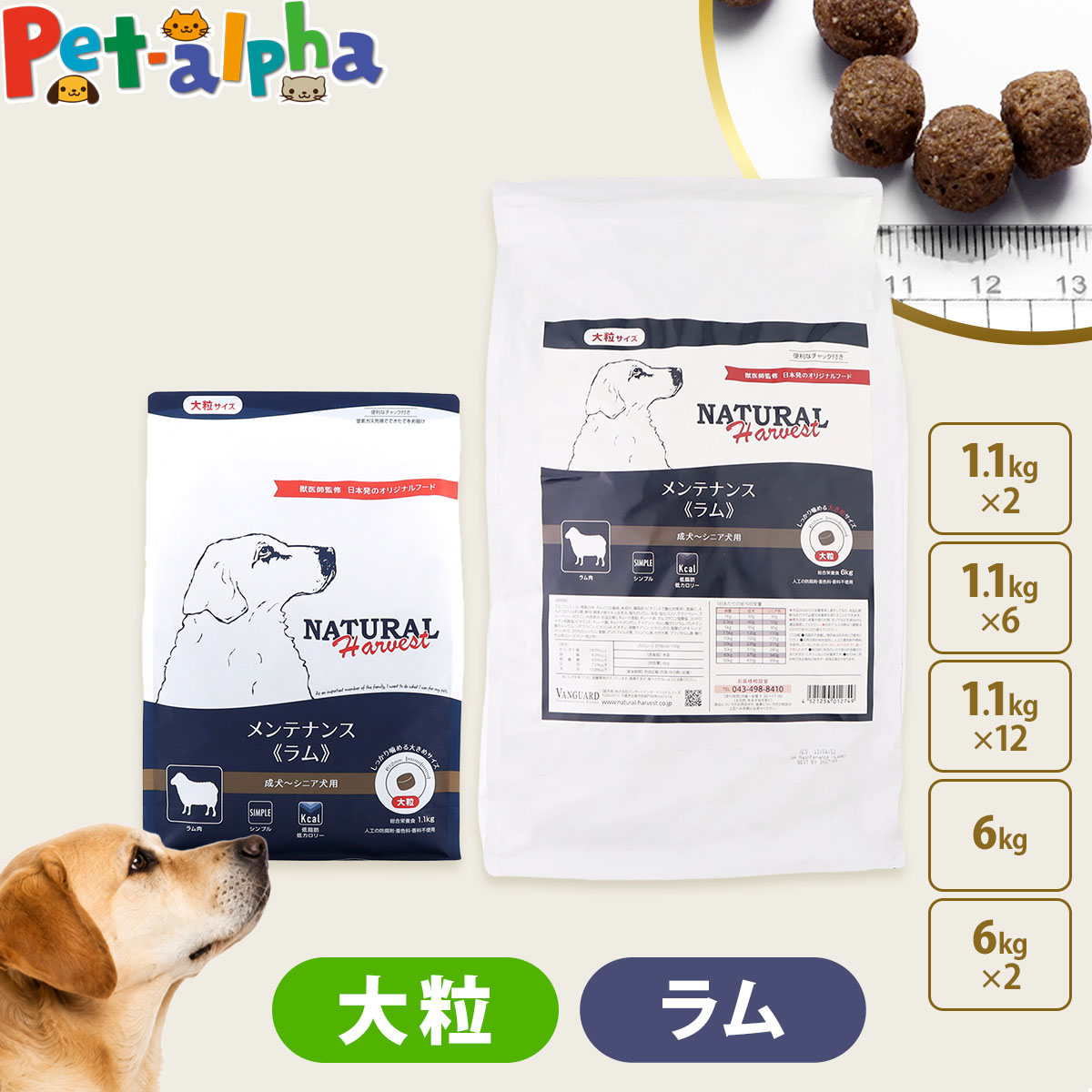 いつものごはんに塗り付けるを！猫お父ちゃんの情の籠もったボンネット、トッピング食のご引き合わせる。
