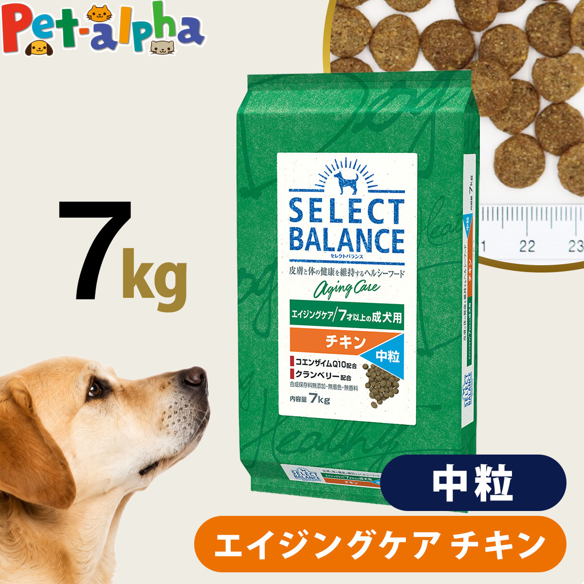 セレクトバランス エイジングケア チキン 中粒 7kg 成犬 シニア 高齢犬 犬 ドッグフード 鶏 米 玄米 コエンザイムQ10 オメガ6 オメガ3 ドライ