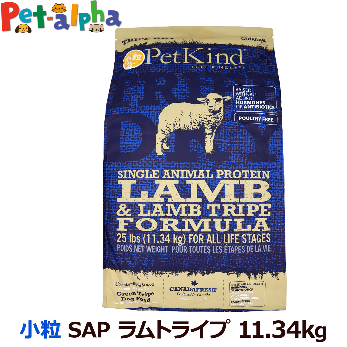 いつものごはんに塗り付けるを！猫お父ちゃんの情の籠もったボンネット、トッピング食のご引き合わせる。