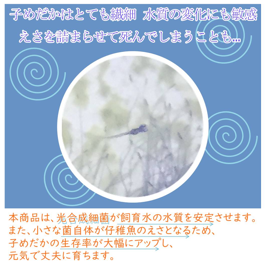 3二倍濃化 1ml 5ブック揃え めだか成魚のためのお水フード 1ml 3倍濃縮型式 5本セット 日本製 メダカ えさ おすすめ Ritzattorneys Com