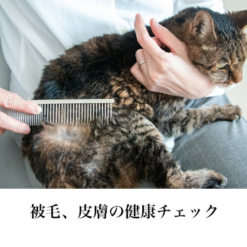 【あす楽】犬猫が嫌がらない上質コーム ～プロのトリマー推薦 グレーハウンド ベルギータイプ 187 (犬 猫 ブラシ グルーミング アンダーコート  ブラッシング トリミング お手入れ 抜け毛 被毛ケア 除毛 ムダ毛 無駄毛 死毛 毛玉 清潔 ほつれ もつれ 粗目 細目 両目 日本製)｜ぺったんPET