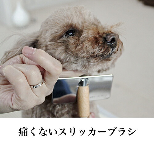 楽天市場 あす楽 痛くない 皮膚にやさしい 犬猫用 ｔ字型 ブラシ スリッカー 小 犬 猫 コーム ブラシ アンダーコート ブラッシング 清潔 毛玉 ほつれ もつれ ほぐし フワフワ ふわふわ クッション やわらか ステンレス 日本製 パピーのファーストブラシ シニアの