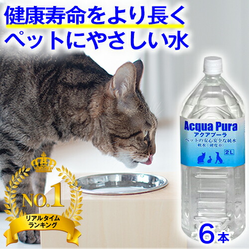 ペット 販売 癒し 水