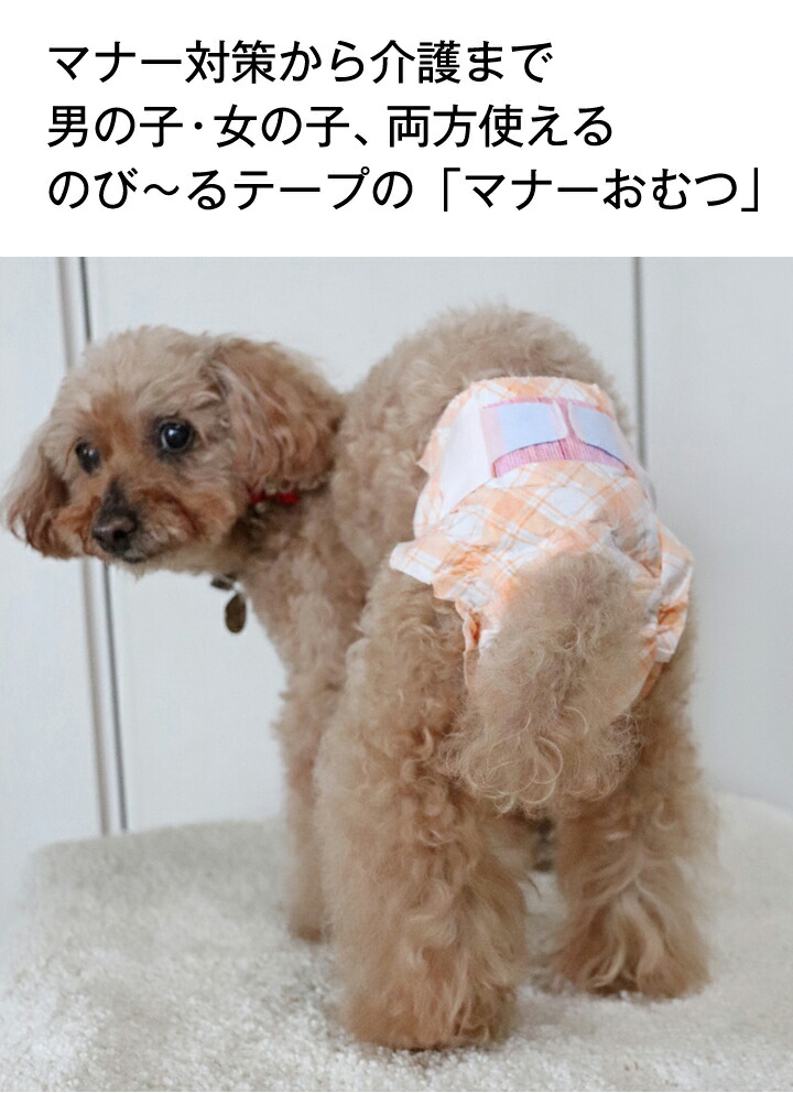 手作り うんぽパンツ マナーウェア SSサイズ 手作りうんぽパンツ☆マナーウェアSサイズ 男の子女の子兼用