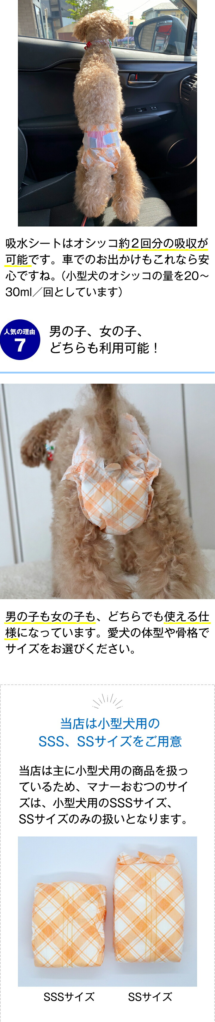楽天市場】＼まもなく終了☆P10倍＋特典クーポン／犬用 おむつ 男の子