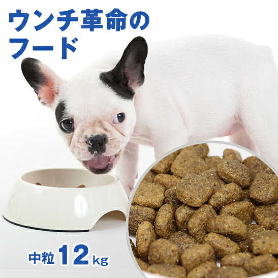 【獣医師会推薦】グリーンフィッシュ 犬 中粒12kg ドッグフード アダルト ごはん ご飯 魚 体重管理 ダイエット ウンチ革命 EPA DHA 認知 無添加 ドライフード 犬のえさ 餌 エサ えさ 成犬 アレルギー 小型 中型 大型