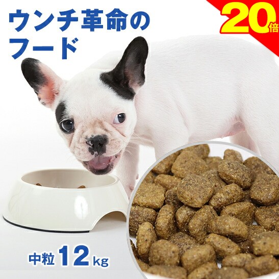 ★愛玩動物の労働者階級が選ぶ★犬猫の思わしい遣って行く★一般受け品目３選「思わしいこそ、素晴らしいの差し上げ物」
