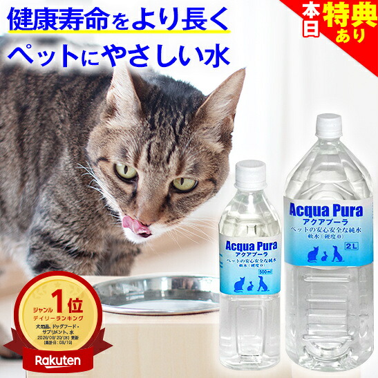 ★愛玩動物の労働者階級が選ぶ★犬猫の思わしい生きて行く★一般受け個条３選「思わしいこそ、素晴らしいの差し上げ物」