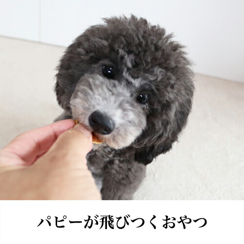 楽天市場 犬 おやつ 国産 チップストーリー チーズ 無添加 良質 犬のおやつ 犬用品 ペット用品 ドッグフード ペットフード チップス 鶏 ささみ トレーニング 噛む 硬い パピー シニア 子犬 成犬 老犬 高齢 小型犬 ペット 柴犬 トイプードル ポメラニアン チワワ