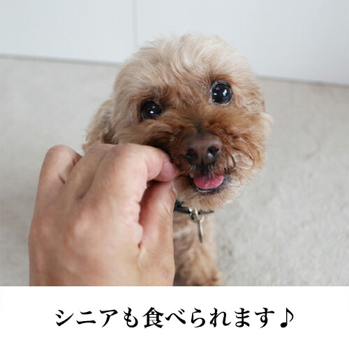 楽天市場 犬 おやつ 国産 チップストーリー チーズ 無添加 良質 犬のおやつ 犬用品 ペット用品 ドッグフード ペットフード チップス 鶏 ささみ トレーニング 噛む 硬い パピー シニア 子犬 成犬 老犬 高齢 小型犬 ペット 柴犬 トイプードル ポメラニアン チワワ