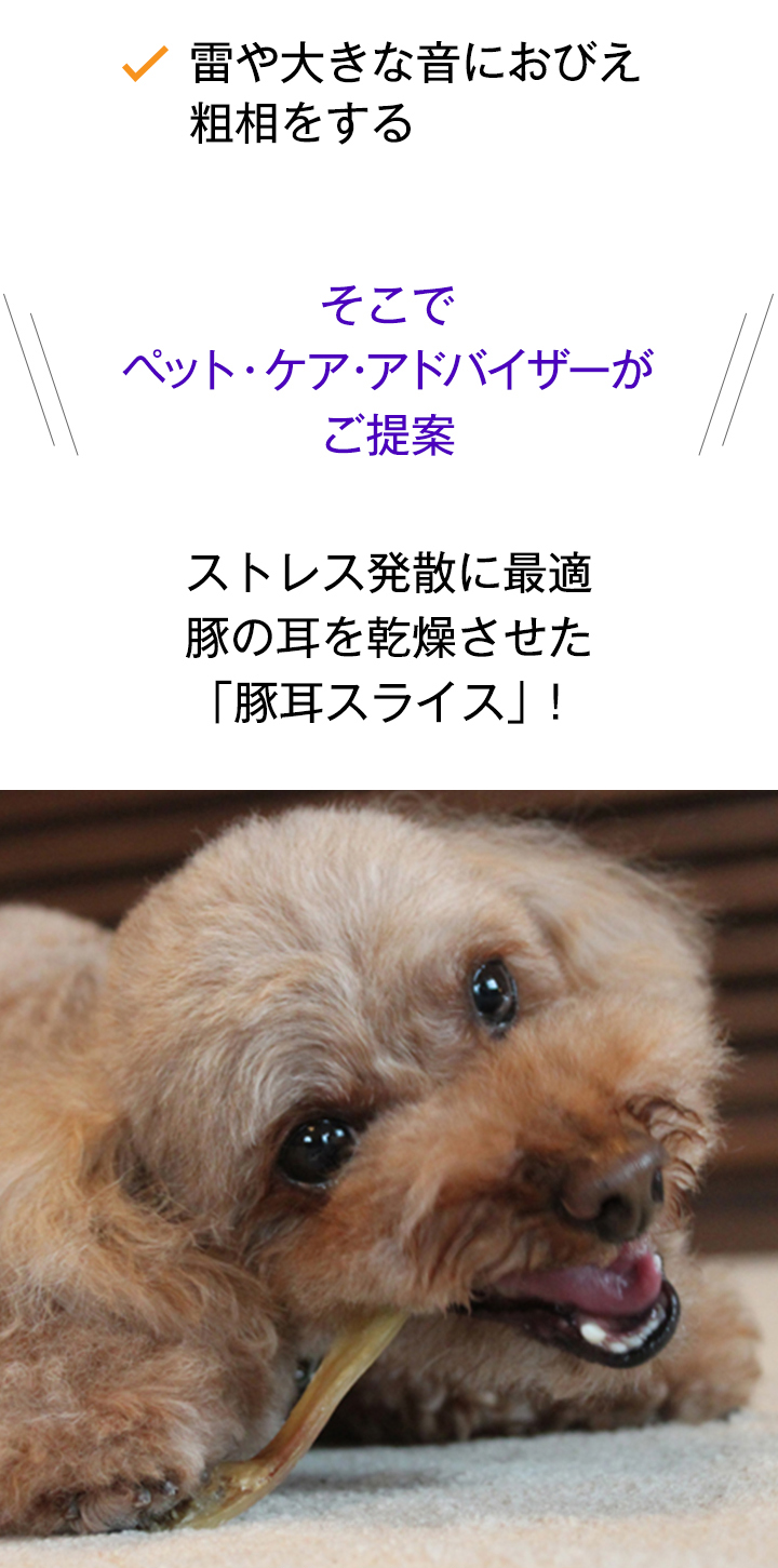 楽天市場】【ワンランク上のライフスタイル】愛犬満足シリーズ☆国産