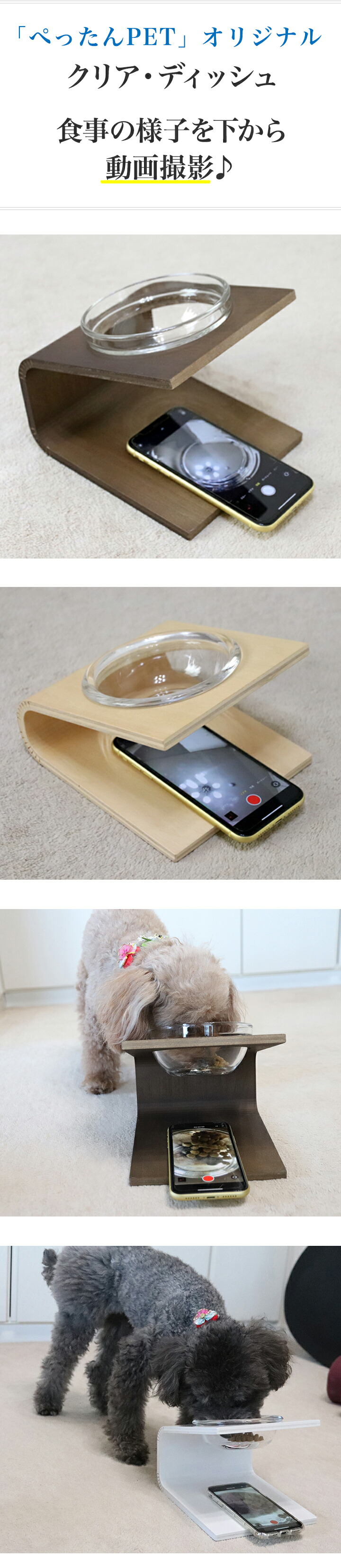 楽天市場】◇ポイント5倍(要エントリー)◇【動画撮影】犬 猫 食器