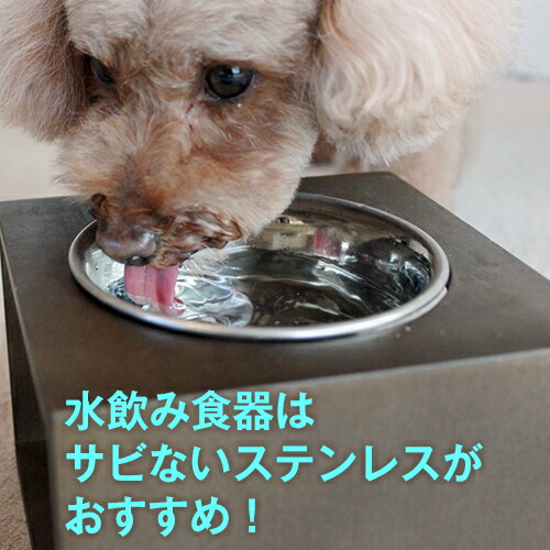 楽天市場 錆びないステンレス食器 水飲み 食事用 0ml 内径11cm 高さ約4cm 犬 猫 食器 フードボウル 水飲み 水入れ 国産 小型犬 犬用 猫用 老犬 老猫 食欲不振 パピー 子犬 子猫 シニア 離乳食 療法食 食べ渋り 軽い 洗いやすい サビない さびない サビにくい
