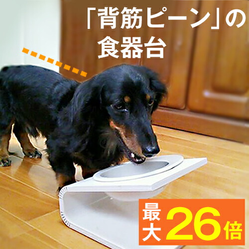 楽天市場 最大p35倍 犬猫用フードボウル 月 g 70gのドライフードが入る陶器製食器 ペット 餌入れ 餌 エサ 水飲み 給水器 食器台 皿 小型犬 犬 猫 首 パピー 子犬 子猫 離乳食 シニア 電子レンジ 食洗機 食器洗い機 可愛い おしゃれ トイプードル ダックス