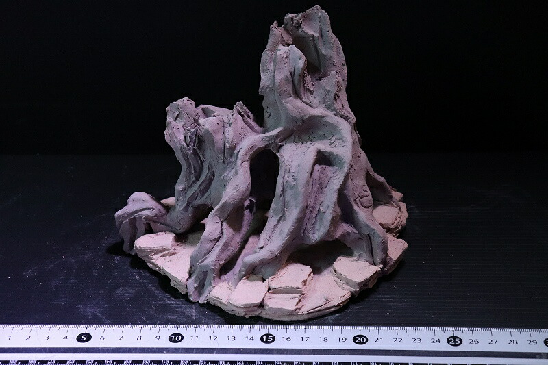 熱帯魚 シェルター シャルタクラフタ No6 Roots Mサイズ シャルター 個体販売 淡水 Ajors Com Br