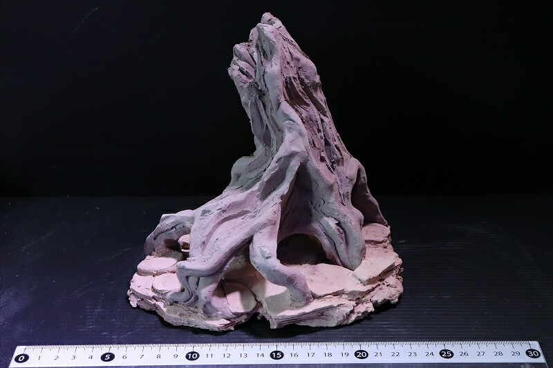 熱帯魚 シェルター シャルタクラフタ No8 Roots Mサイズ シャルター 個体販売 淡水 Mazeministry Com