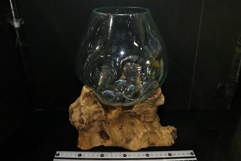 【繁殖設備・手道具】No2 瑠璃流木 L大きさ【１点物 其れ其れ売りわたす】(海洋博物館)