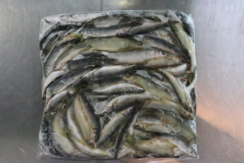 楽天市場 淡水魚 お得パック 冷凍川魚ミックス サンプル画像 1kg 生体 冷凍エサ 熱帯魚 ペットバルーン楽天市場支店