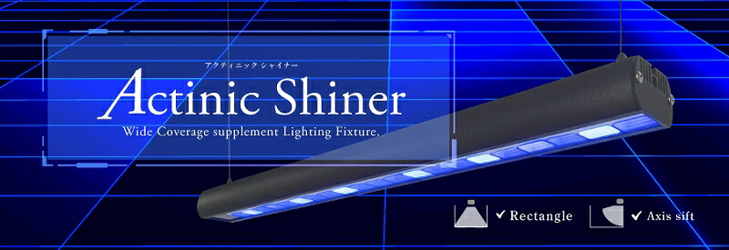 楽天市場】【MMC企画】 ZOOX アルティメットアクアリウムDC